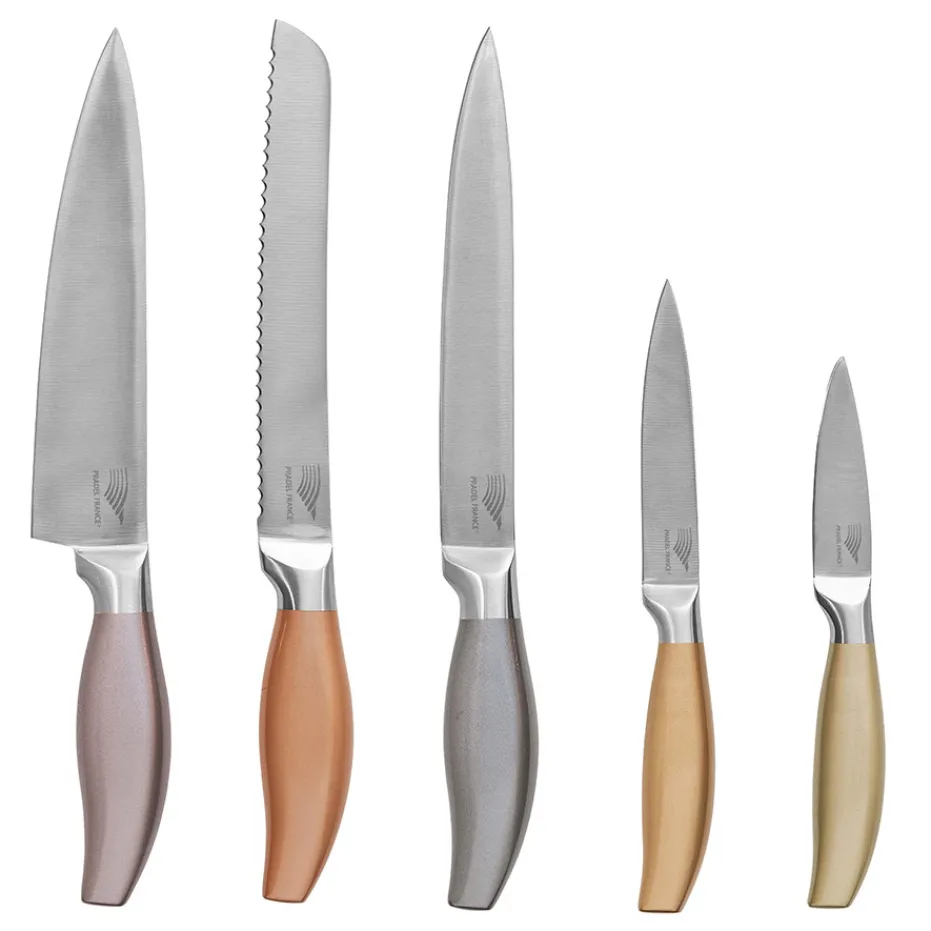 New Pradel France Bloc 5 couteaux métallisés