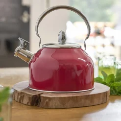 Flash Sale Pradel France Bouilloire à sifflet