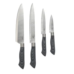 Outlet Pradel France Coffret 4 couteaux avec support magnétique