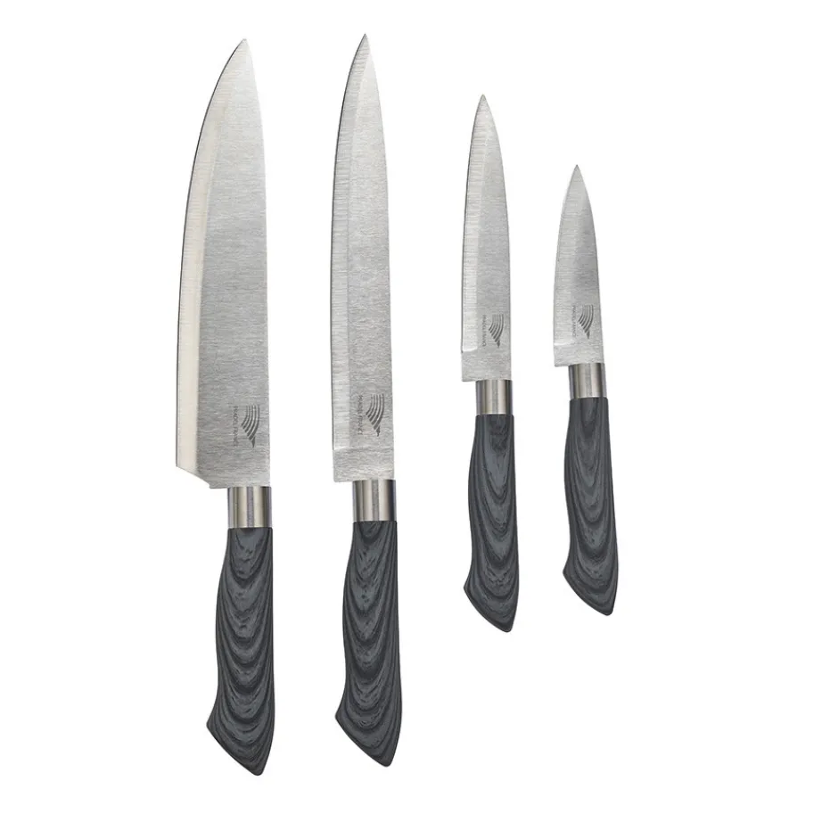 Outlet Pradel France Coffret 4 couteaux avec support magnétique