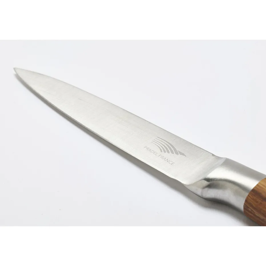 Online Pradel France Coffret 3 couteaux tout inox effet bois