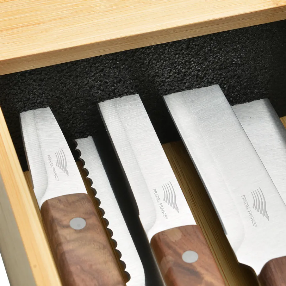 New Pradel France Le lot de 5 couteaux + le range-couteaux pour tiroir