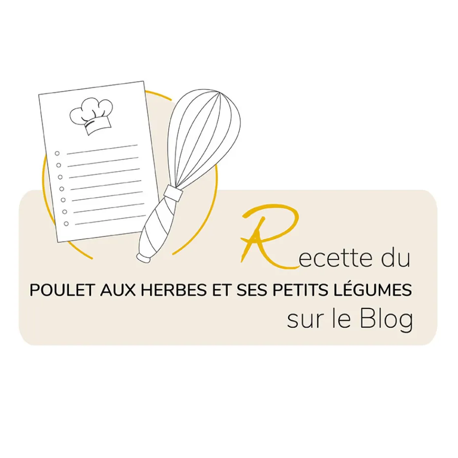 Online Pradel France Rôtissoire saveur 2 en 1